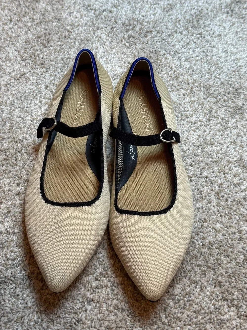 Rothy's The Point Mary Jane II flats